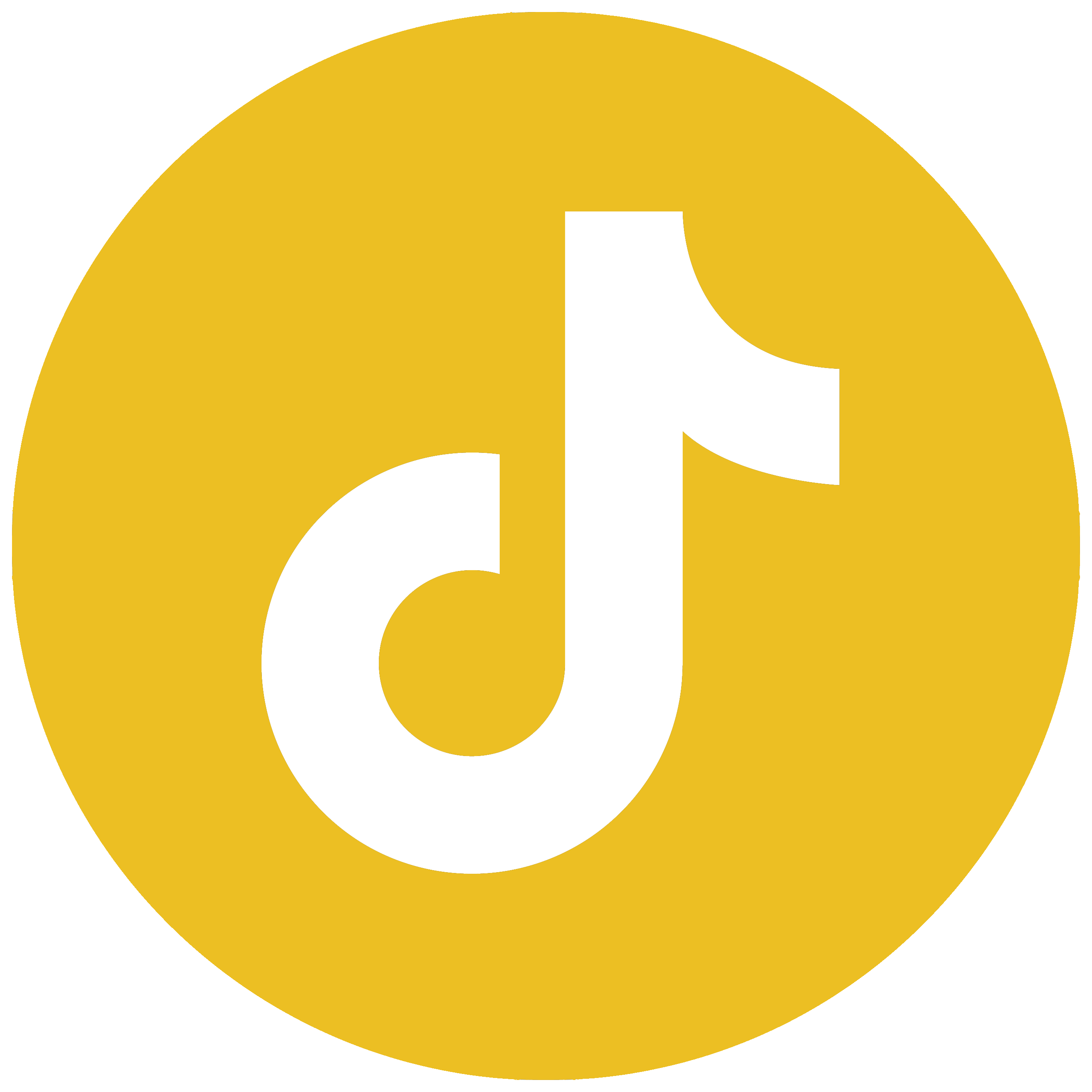 Tiktok logo